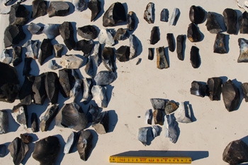 Flint artefacts recovered from Helnaes Bay