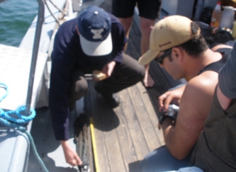 Measuring finds onboard the Mjølnir