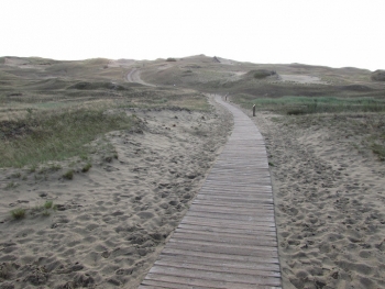 Curonian Spit